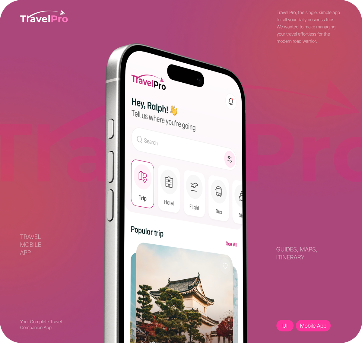 Travel Pro App